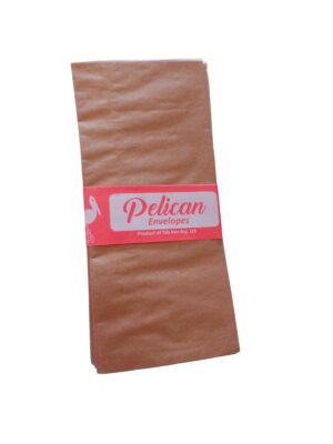 Brown Envelope Medium Size