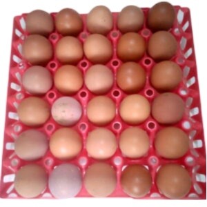 Eggs